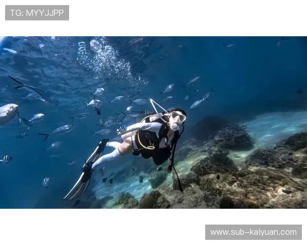 探索日本冲绳最美潜水胜地推荐 体验海底奇观与丰富生态