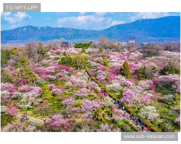 春日踏青必去的绝美赏花胜地全攻略与季节限定花海打卡指南推荐篇